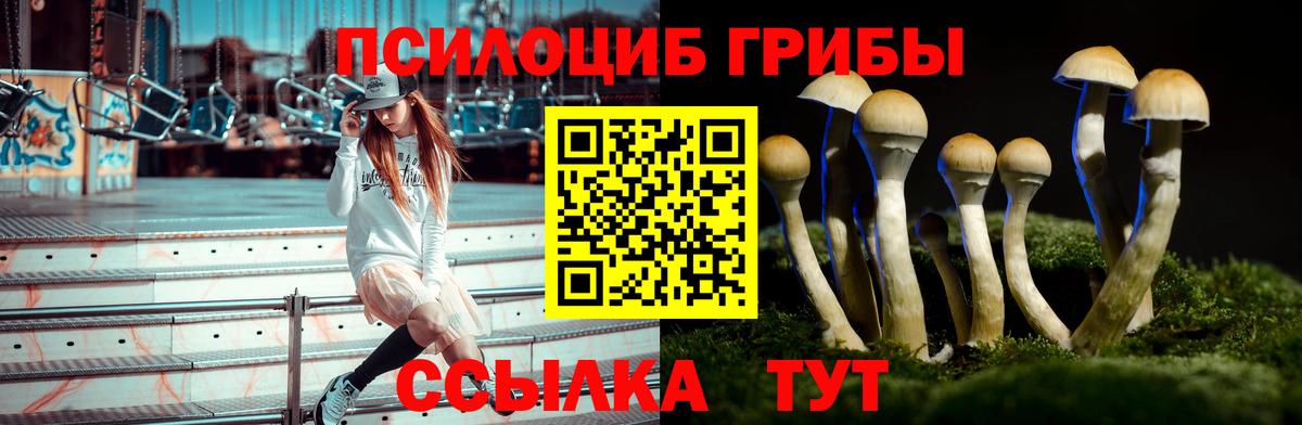 Ивантеевка  Галлюциногенные грибы мухоморы  Псилоцибиновые грибы мицелий  Вход с VPN 